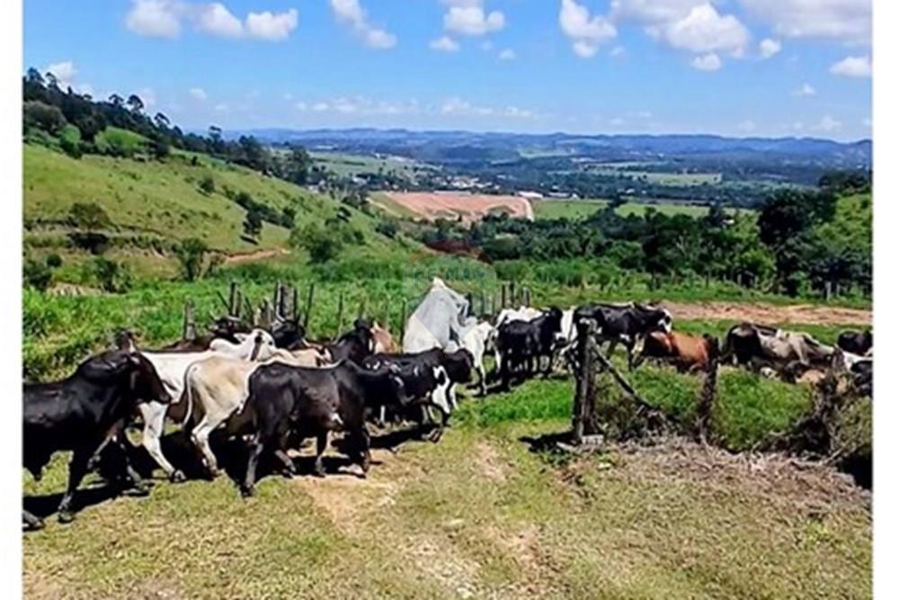 Chácara / Sítio / Fazenda - Venda - Bragança Paulista , São Paulo - Screenshot_20260224_150402_Photos~2.jpg - 690141085-32