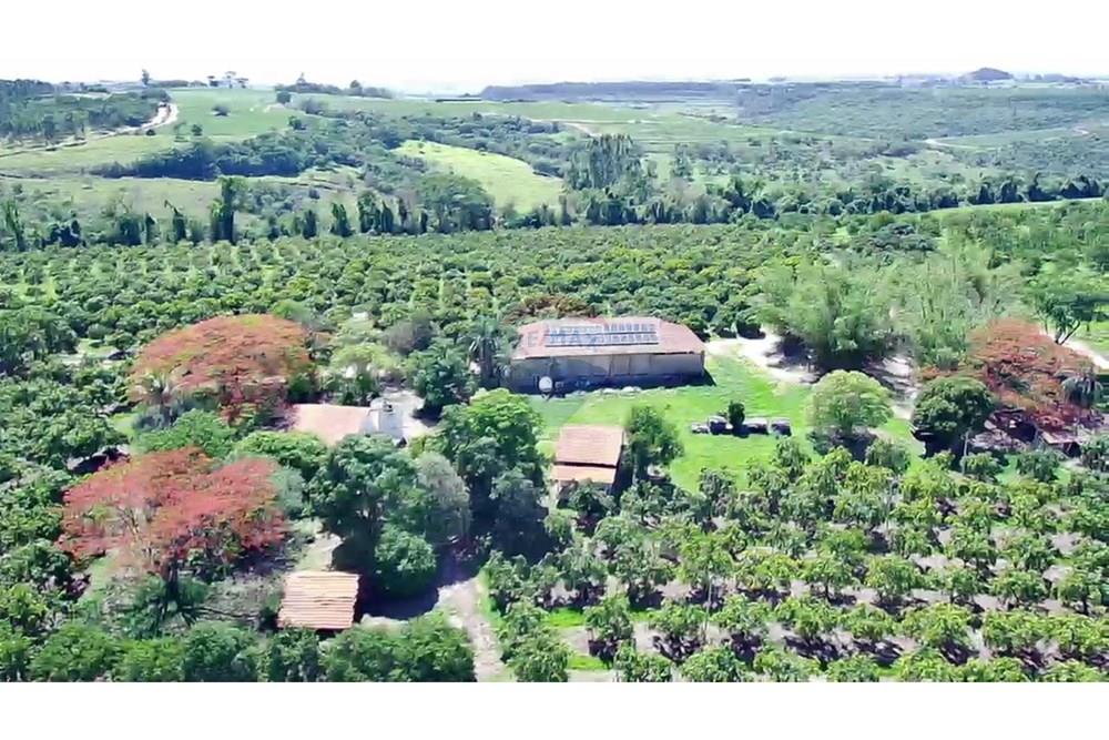 Fazenda - Venda - Analândia , São Paulo - 45c3a8fb-d03d-482a-a549-dc878d74b541.jpg - 690691016-305