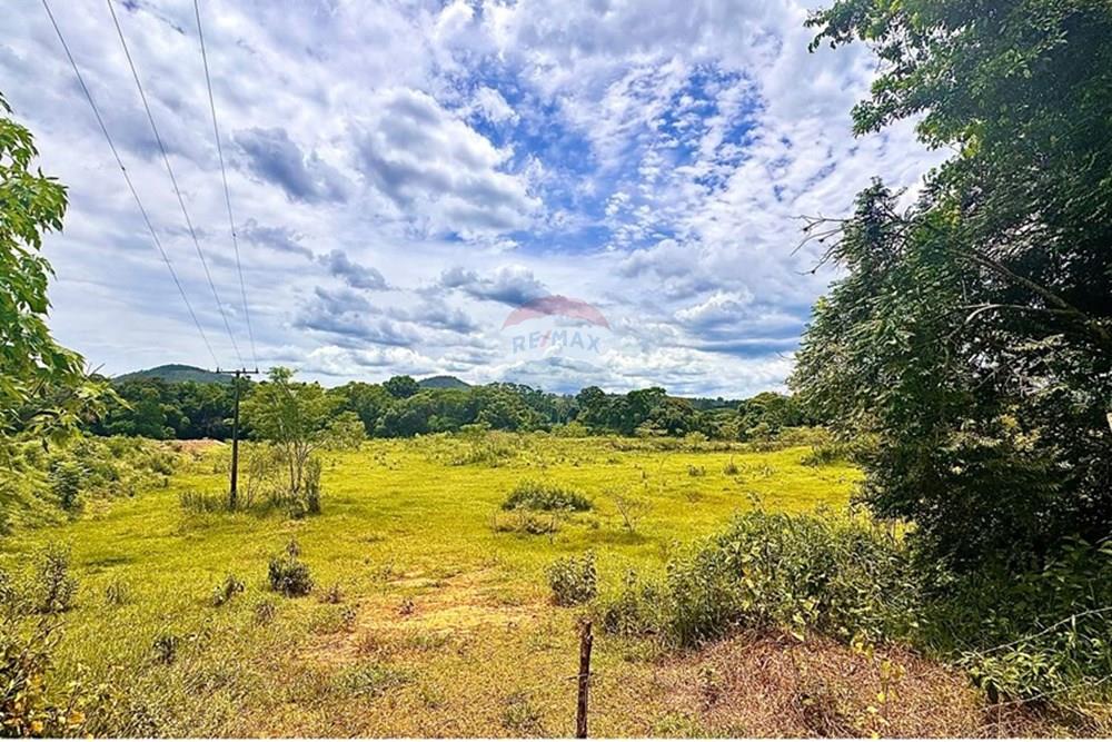 Terreno - Venda - Bragança Paulista , São Paulo - IMG_8972.JPEG - Fachada - 690041040-55