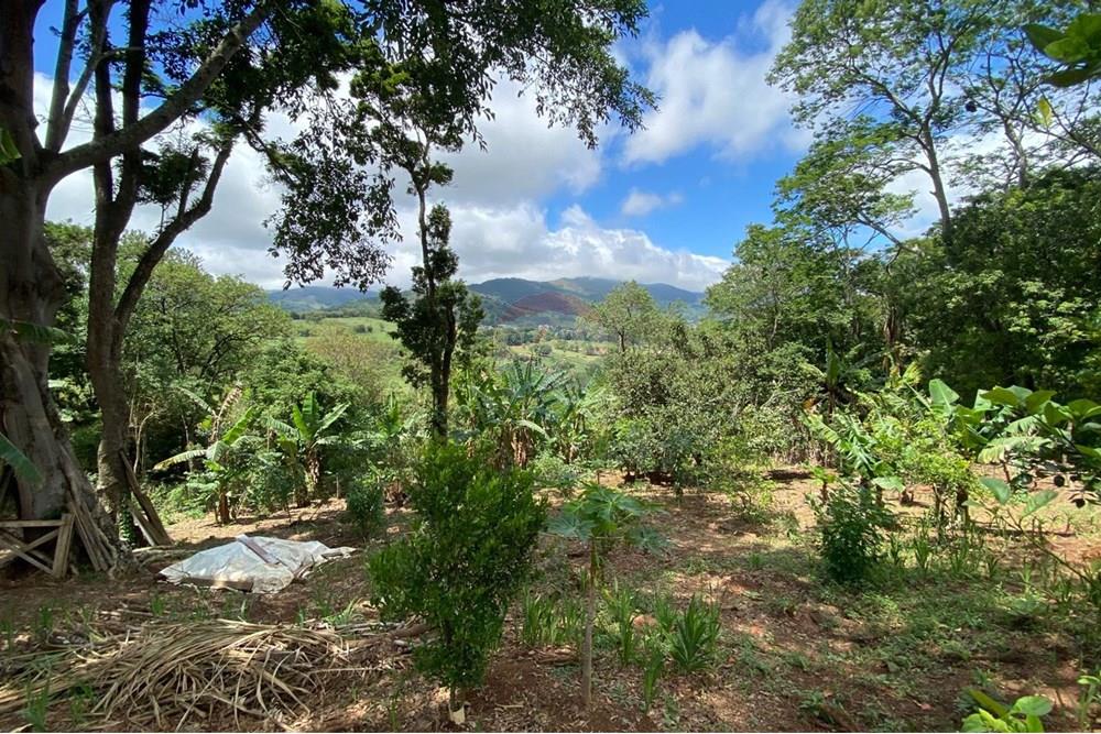 Chácara / Sítio / Fazenda - Venda - Extrema , Minas Gerais - 192a66b2-e4d8-4010-84d7-985a7d6ccfad.jpeg - 690041107-28