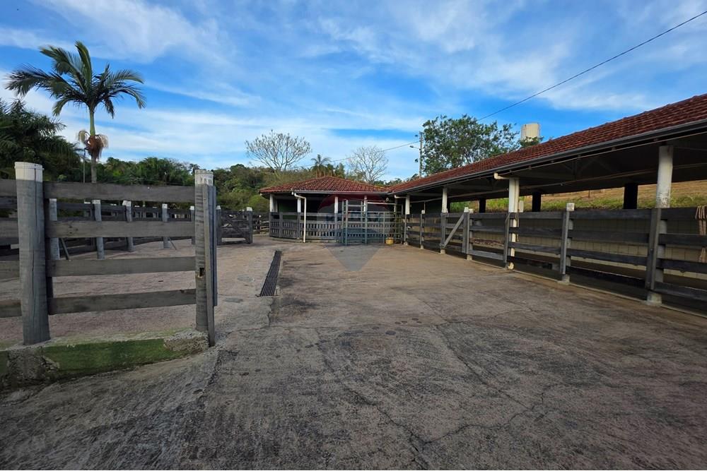 Chácara / Sítio / Fazenda - Venda - Itapira , São Paulo - 20250902_171336.jpg - 690521005-184