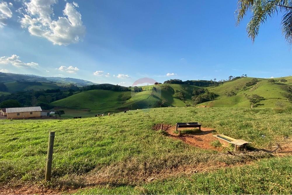 Chácara / Sítio / Fazenda - Venda - Socorro , São Paulo - WhatsApp Image 2026-03-04 at 13.32.29.jpeg - 690041167-12