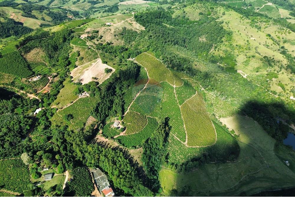 Chácara / Sítio / Fazenda - Venda - Serra Negra , São Paulo - dji_fly_20250516_135326_963_1747571447868_photo_optimized.jpg - 690291056-34