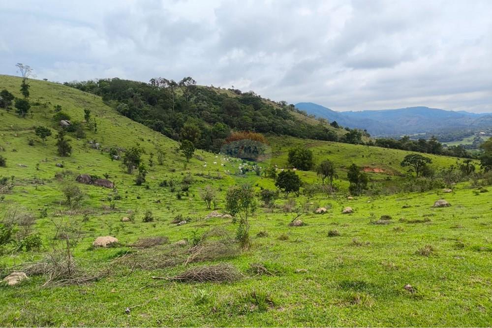 Chácara / Sítio / Fazenda - Venda - Morungaba , São Paulo - WhatsApp Image 2026-02-06 at 16.39.15 (1).jpeg - 691131002-3