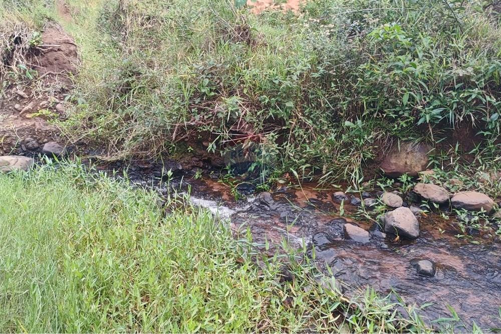 Chácara / Sítio / Fazenda - Venda - Santa Maria da Serra , São Paulo - 3054085f-f190-4ad8-bad6-cabb83b2fafa.jpg - 690571076-32