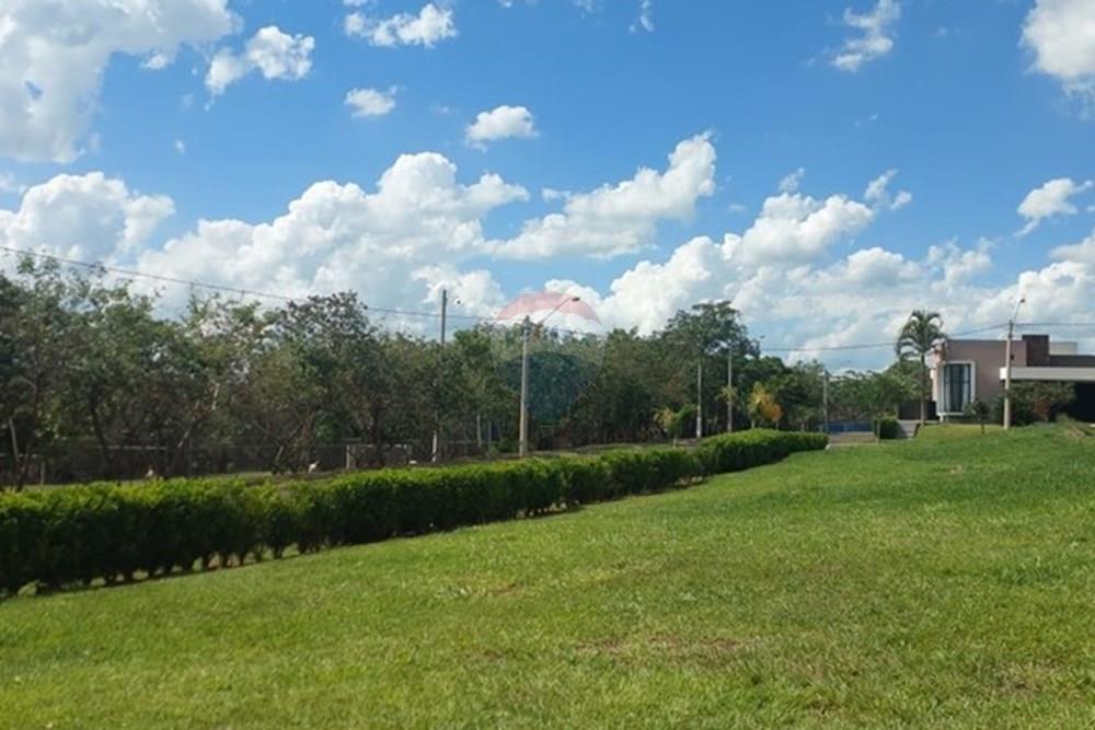 Terreno - Venda - Araraquara , São Paulo - a532569f-fe36-4dbf-b0c3-18d51e99e005.jpg - 690151052-64