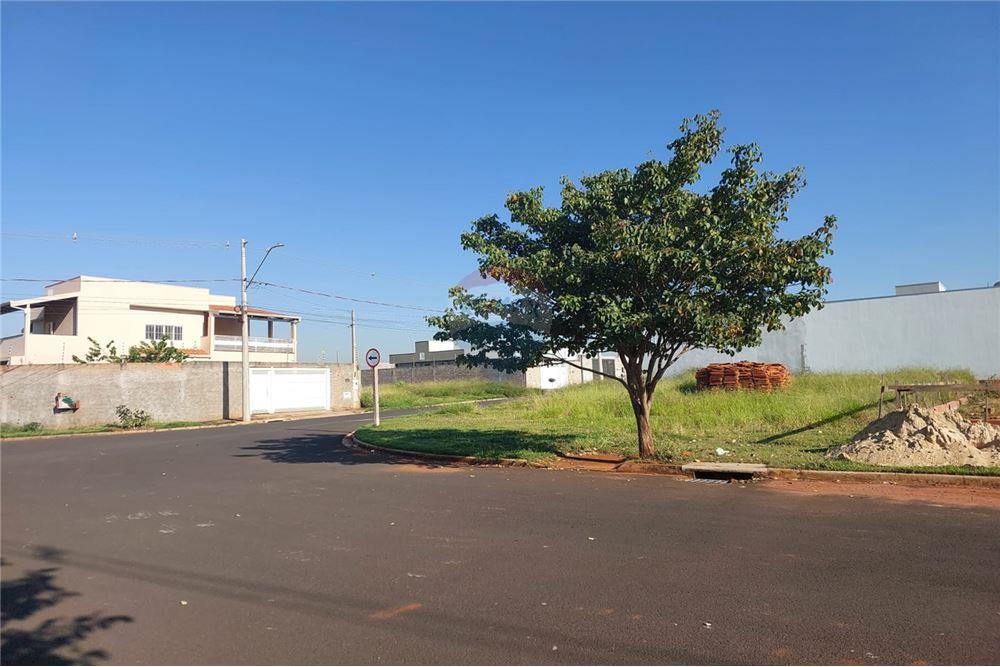 Terreno - Venda - Araraquara , São Paulo - 4 - 690151052-82