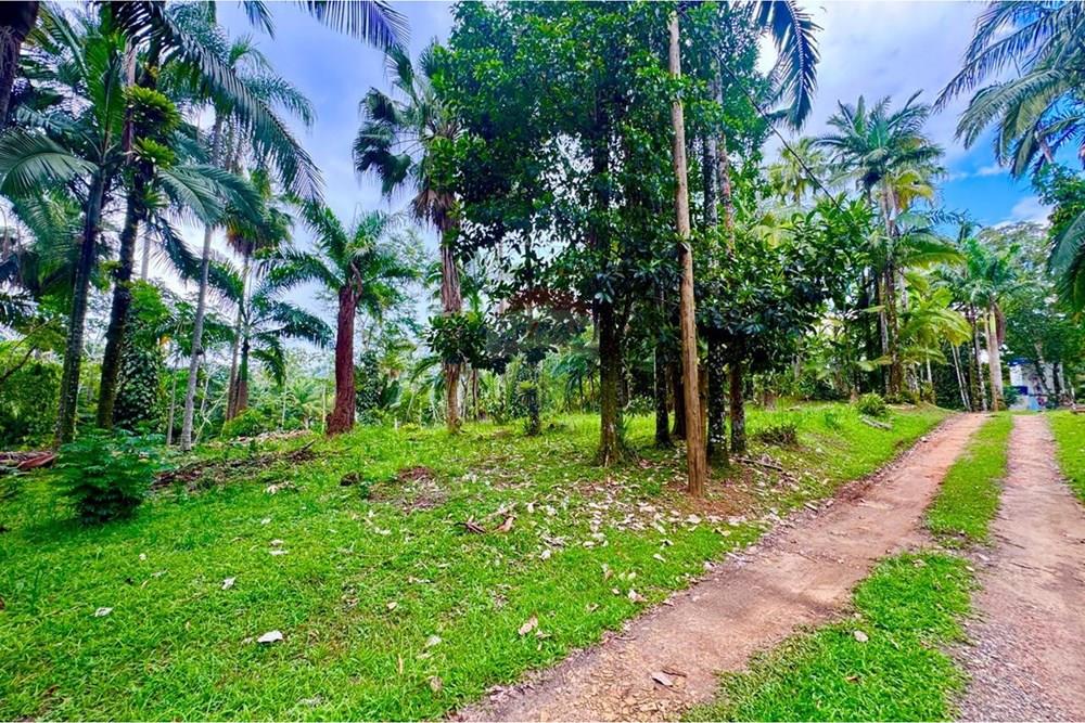 Terreno - Venda - Peruíbe , São Paulo - WhatsApp Image 2026-01-15 at 14.40.38.jpeg - 691111009-61