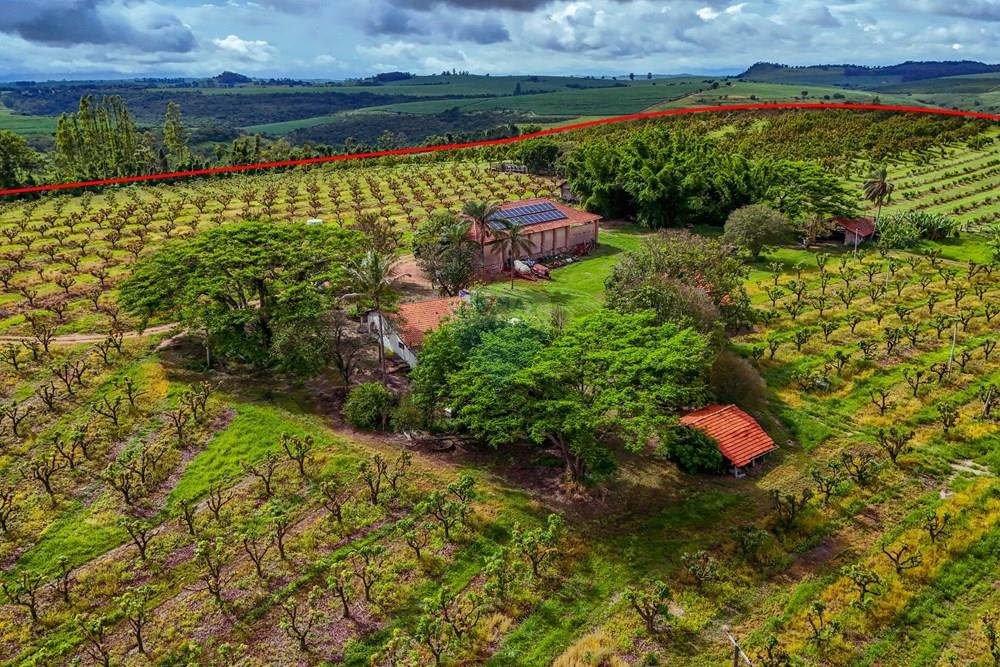 Fazenda - Venda - Analândia , São Paulo - Tratada - Drone-49.jpg - 690691016-305