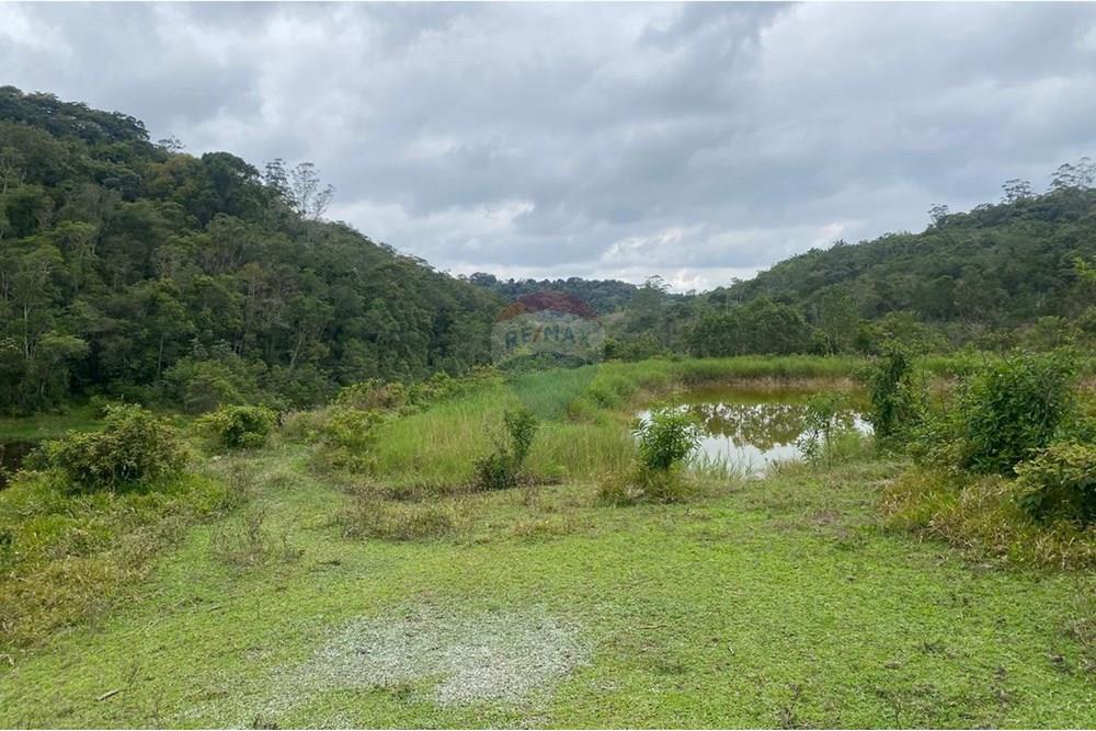 Fazenda - Venda - Registro , São Paulo - Imagem do WhatsApp de 2025-11-22 à(s) 14.06.58_ca5a87e0.jpg - 690061038-16