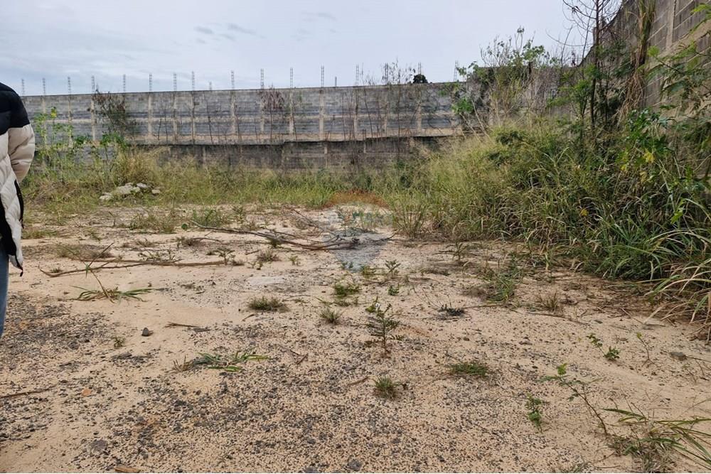 Terreno - Venda - Paulínia , São Paulo - Imagem do WhatsApp de 2025-08-19 à(s) 10.50.24_dface3b2.jpg - Fachada - 690511140-28