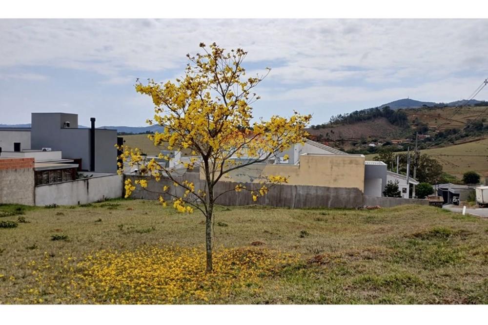 Casa - Alugar - Bragança Paulista , São Paulo - WhatsApp Image 2026-03-18 at 09.33.59.jpeg - 690141096-40