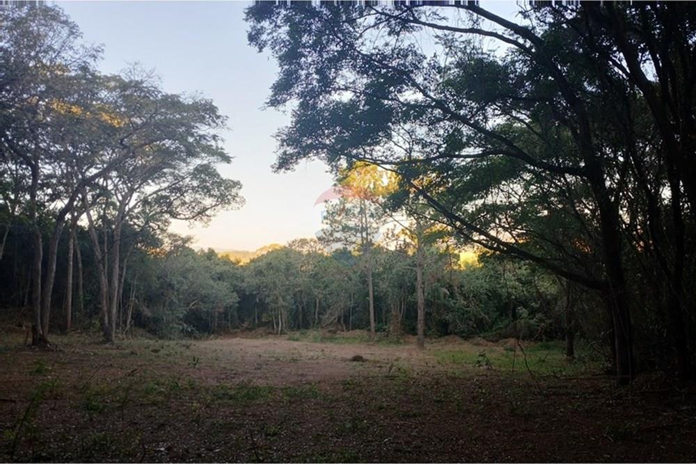 Terreno - Venda - Bragança Paulista , São Paulo - 20250530_164141.jpg - 690141085-18