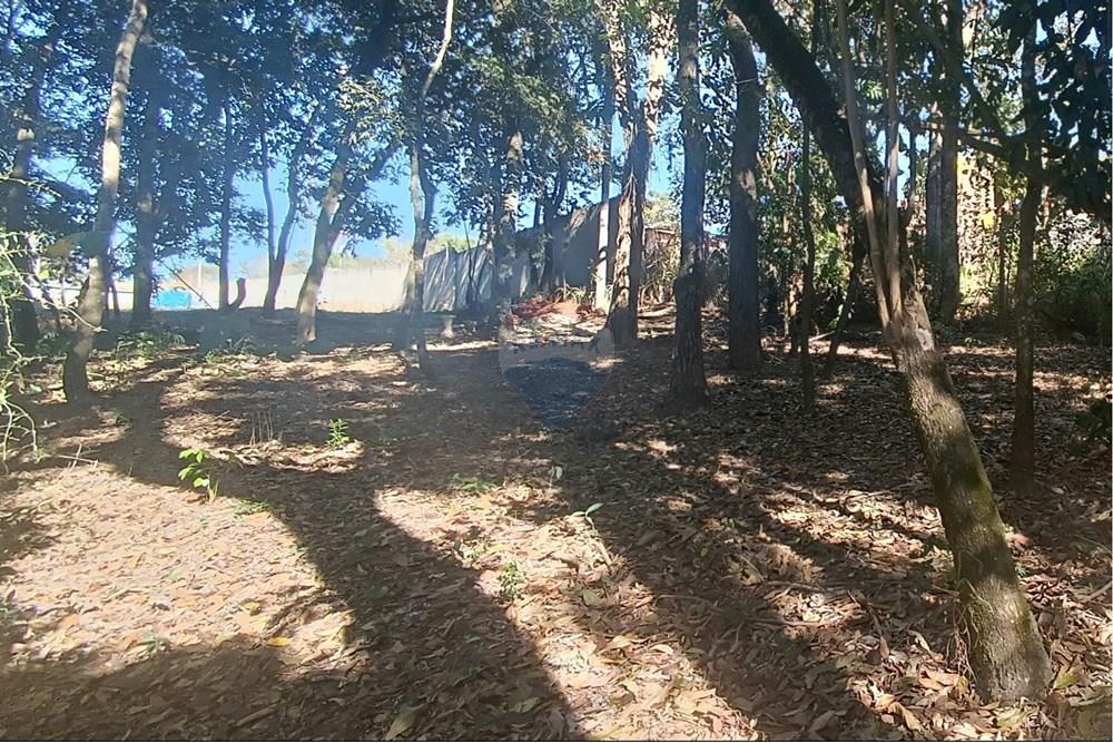 Terreno - Venda - Jaguariúna , São Paulo - 25.JPG - 690671070-9