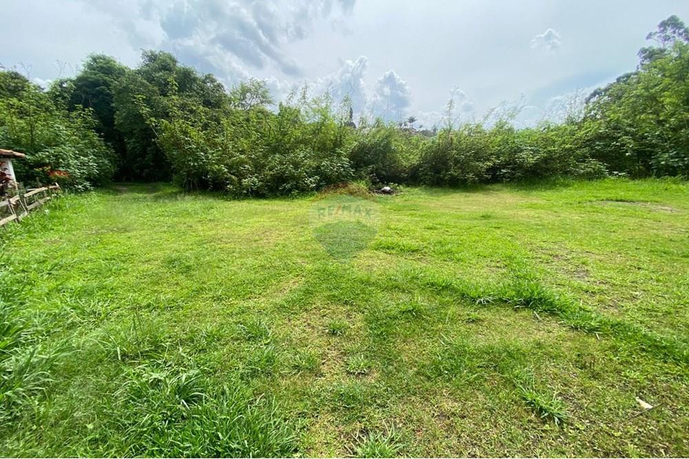 Chácara / Sítio / Fazenda - Venda - Mairiporã , São Paulo - 0d5a445c-8bd3-408c-b4fe-64aef29bd037.jpeg - 690041107-26