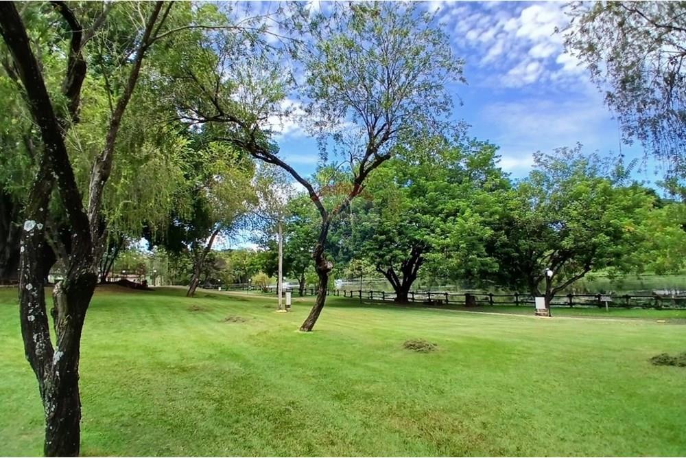 Casa - Venda - Campinas , São Paulo - 59286ec2-df03-4ec9-a7c3-658605163ca3.jpg - 690511152-107