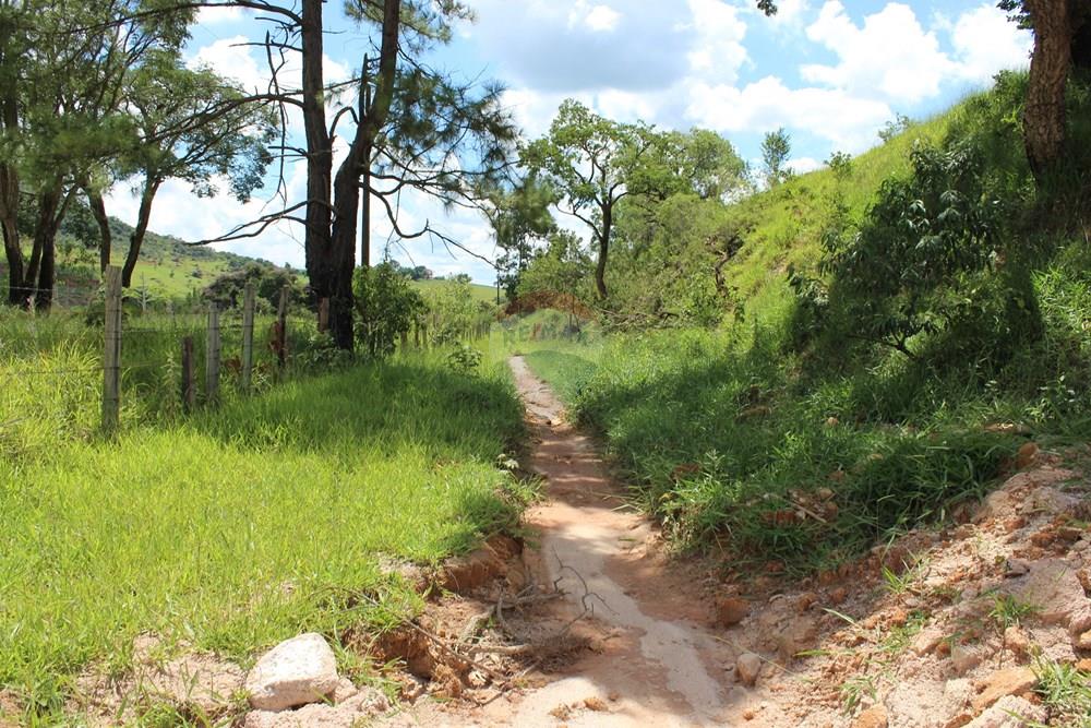 Terreno - Alugar - Vargem , São Paulo - IMG_3378.JPG - 690041127-129