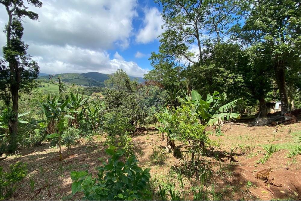 Chácara / Sítio / Fazenda - Venda - Extrema , Minas Gerais - e21d2ca9-0491-44c0-a598-1069b152ccde.jpeg - 690041107-28