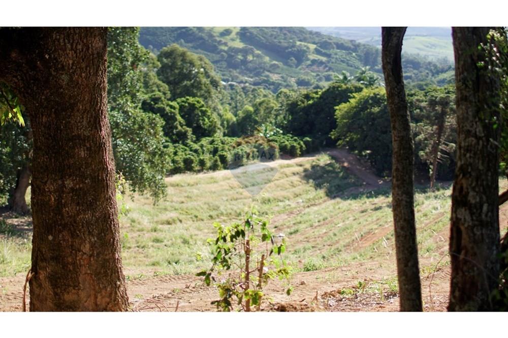 Chácara / Sítio / Fazenda - Venda - Serra Negra , São Paulo - _JEA8950.JPG - 690291056-34