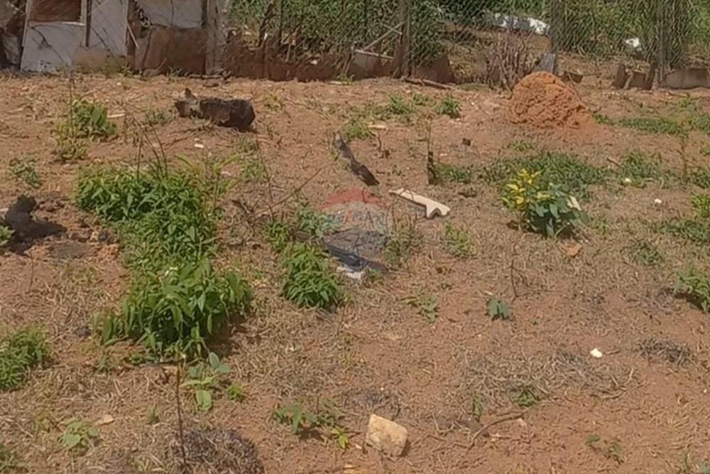 Terreno - Venda - Socorro , São Paulo - Screenshot_20260209_115157_Gallery.jpg - 690041151-29