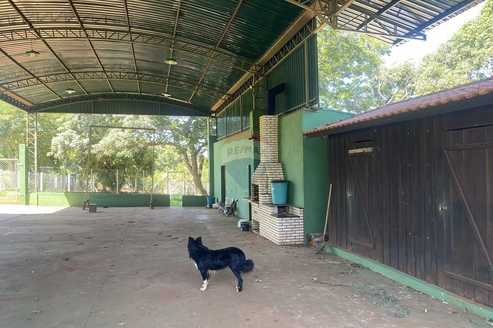 Fazenda - Venda - Piraju , São Paulo - IMG_7346 - Copia - Copia.jpg - 690061038-29