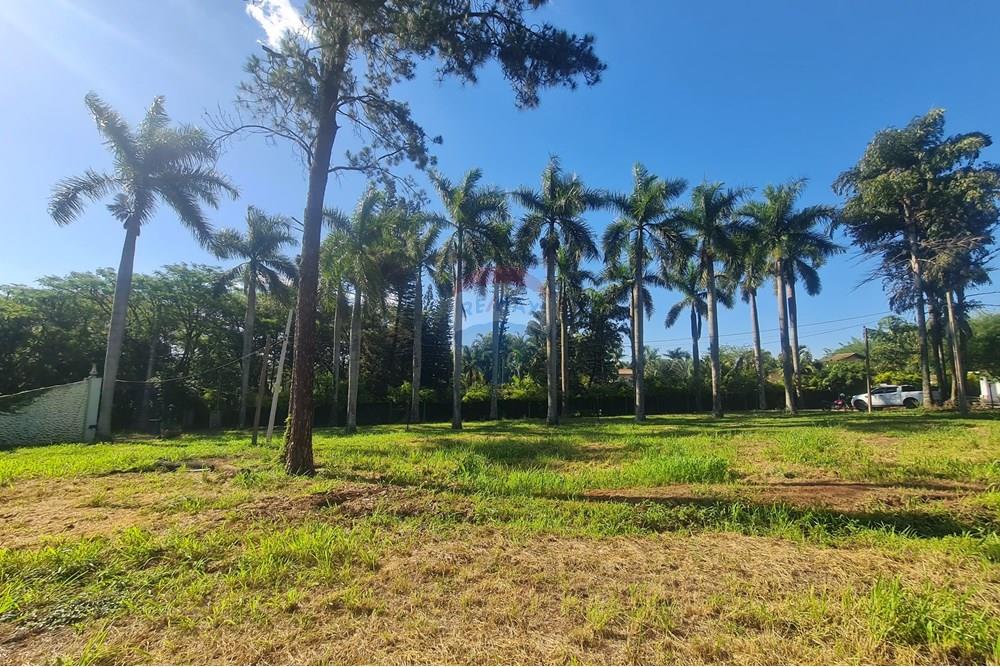 Agro - Alugar - Artur Nogueira , São Paulo - 20251120_155642.jpg - 690671009-93