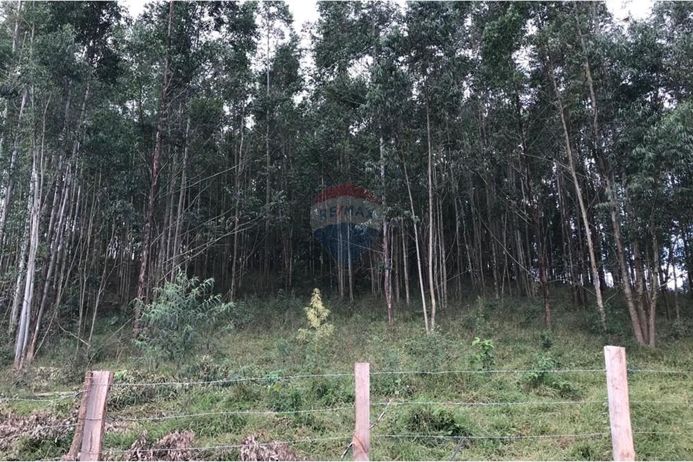 Chácara / Sítio / Fazenda - Venda - Socorro , São Paulo - IMG-20250520-WA0047.jpg - 690291056-39