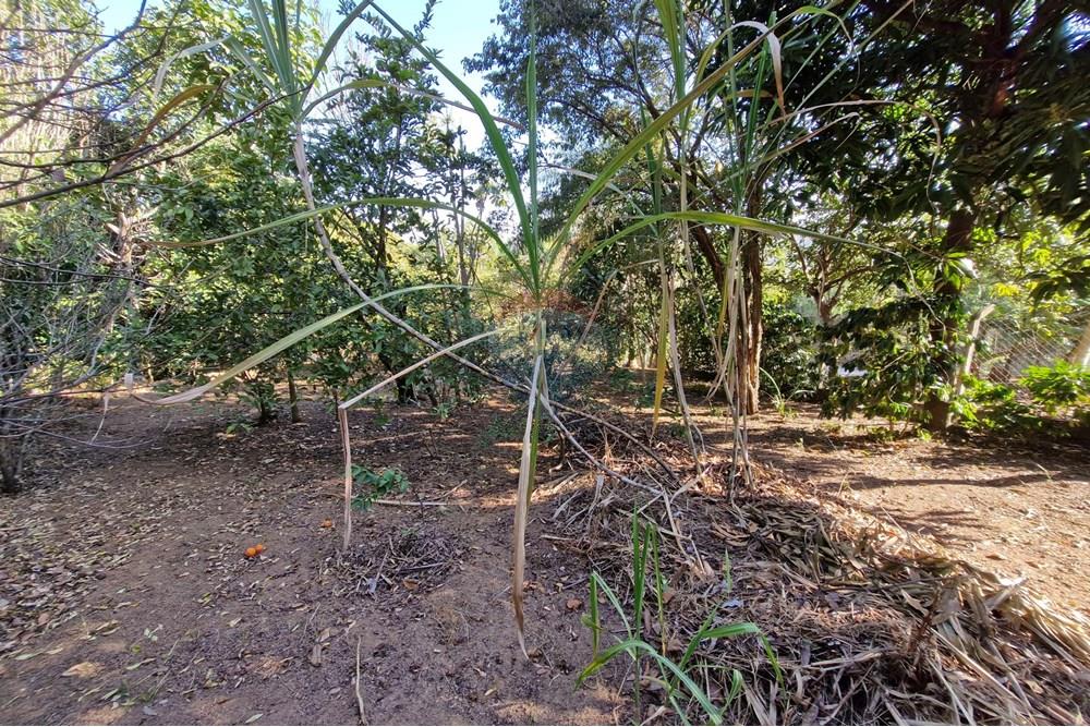 Residential - Land - Jaguariúna , Sao Paulo - BR - 20250814_151906.jpg - 690671008-326