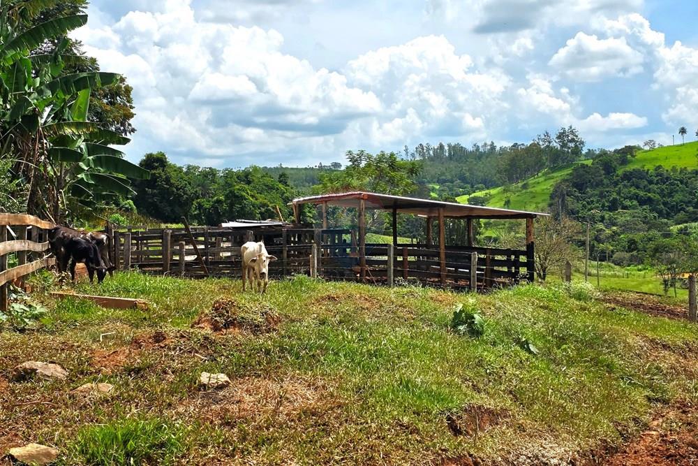 Chácara / Sítio / Fazenda - Venda - Itapira , São Paulo - 20260214_110436 (1).jpg - 690291072-26