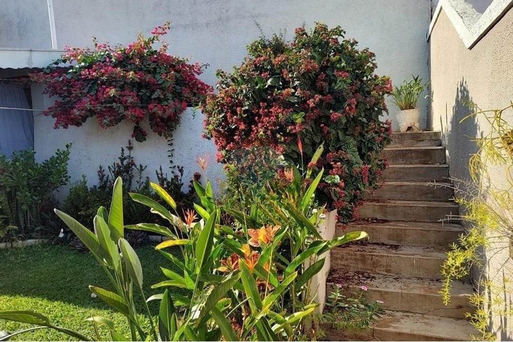 Casa Comercial - Alugar - Campinas , São Paulo - WhatsApp Image 2025-11-26 at 23.09.12 (1).jpeg - 690681050-218