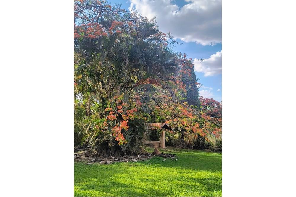 Chácara / Sítio / Fazenda - Venda - Campinas , São Paulo - WhatsApp Image 2025-12-22 at 16.47.47 (4).jpeg - 691181002-33