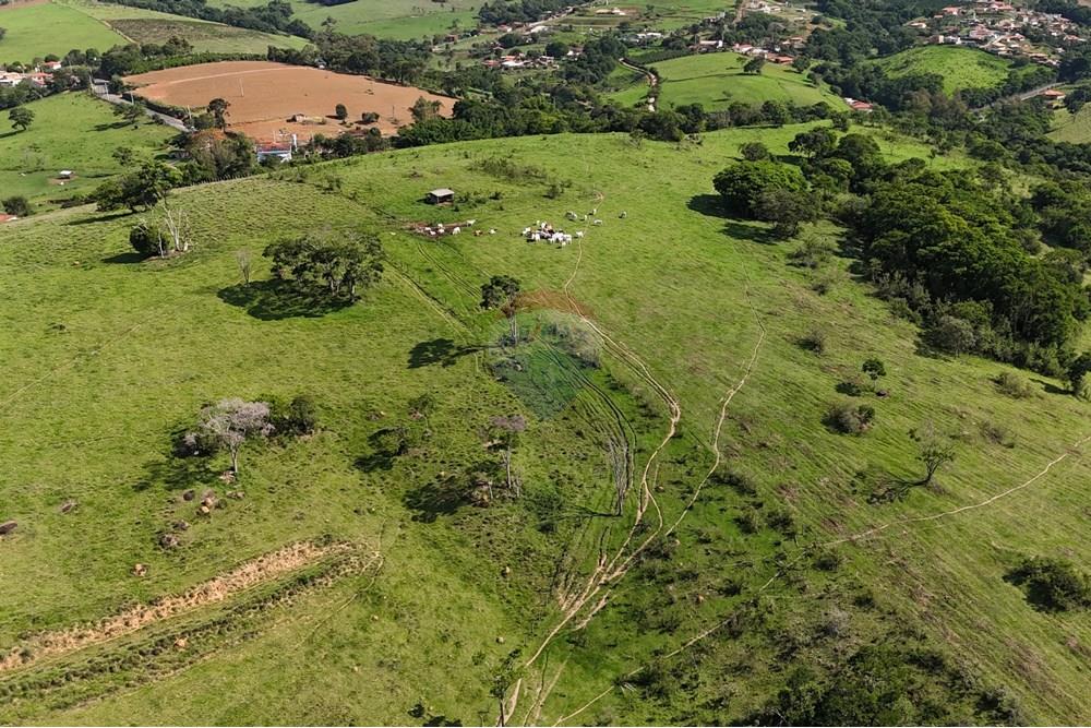 Chácara / Sítio / Fazenda - Venda - Socorro , São Paulo - DJI_20251121152956_0441_D 2.JPG - 690041041-39
