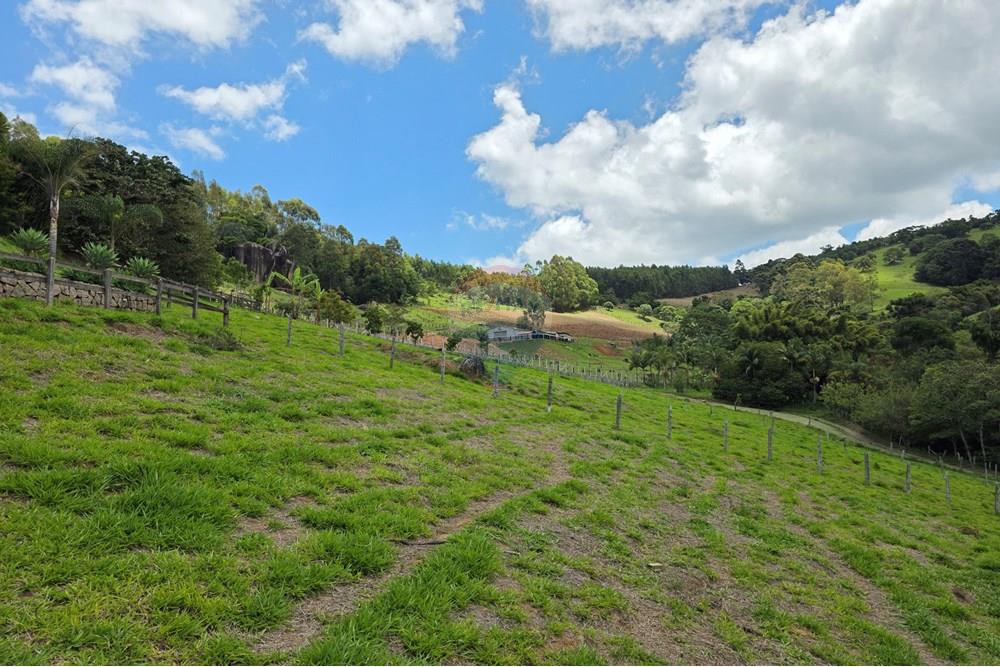 Chácara / Sítio / Fazenda - Venda - Pedra Bela , São Paulo - 20251111_120024.jpg - 690041041-48