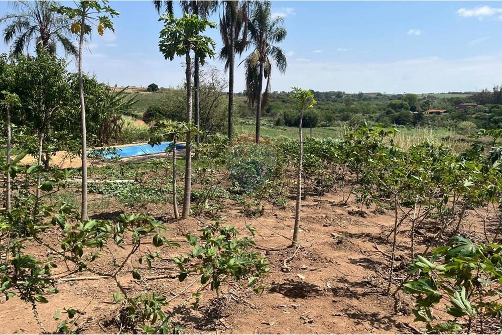 Chácara / Sítio / Fazenda - Venda - Valinhos , São Paulo - WhatsApp Image 2025-10-27 at 09.33.48 (9).jpeg - 691181010-8