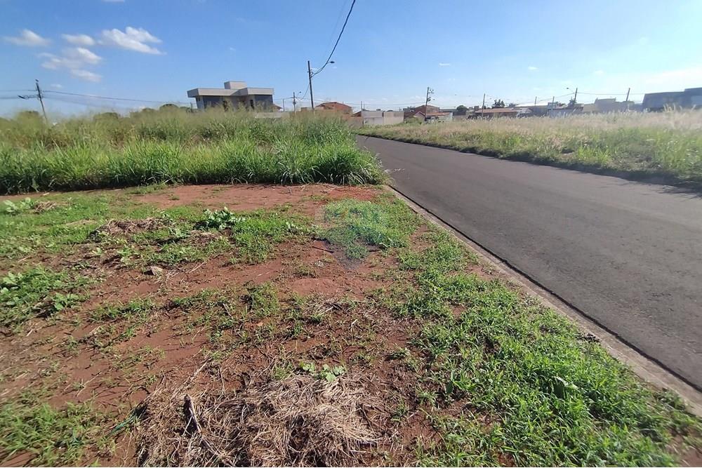 Terreno - Venda - Mogi Guaçu , São Paulo - IMG_20250430_153306.jpg - 690521005-80