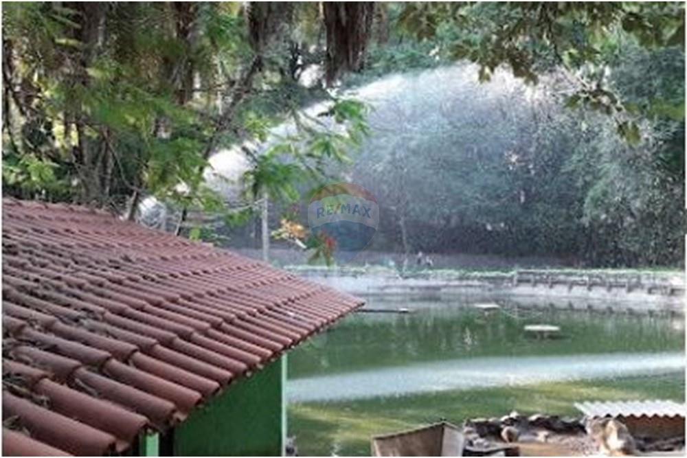 Terreno - Venda - Campinas , São Paulo - Bosque 2.JPG - 690541103-274