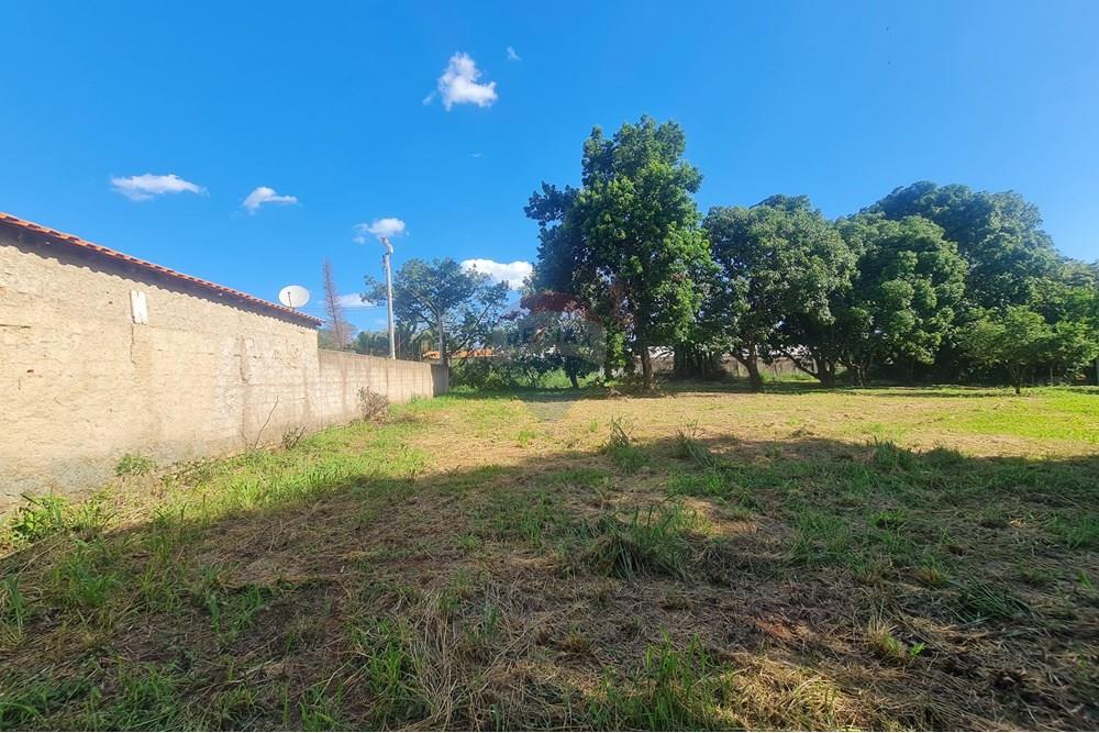 Agro - Alugar - Artur Nogueira , São Paulo - 20251120_160316.jpg - 690671009-93