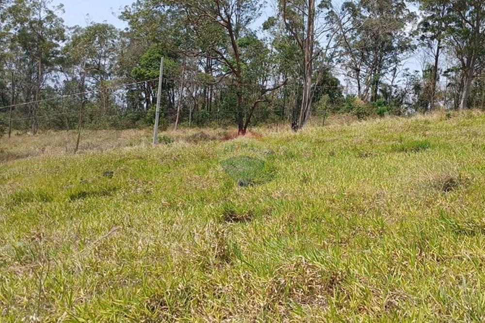 Terreno - Venda - Bragança Paulista , São Paulo - 20251007_111441~2 (1).jpg - 690141085-37