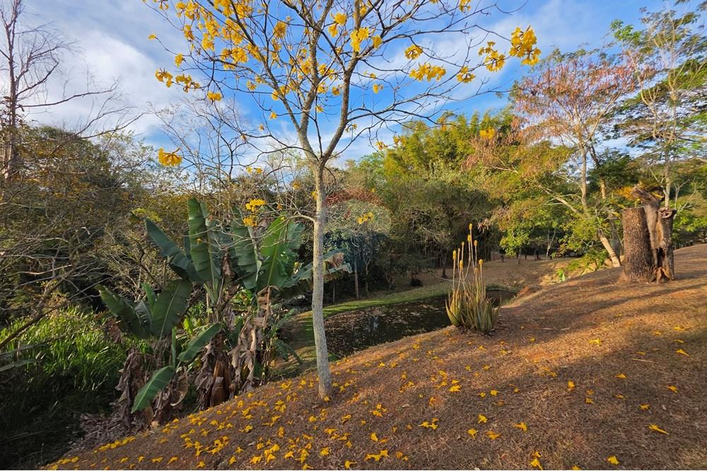 Chácara / Sítio / Fazenda - Venda - Itapira , São Paulo - 20250902_170953.jpg - 690521005-184