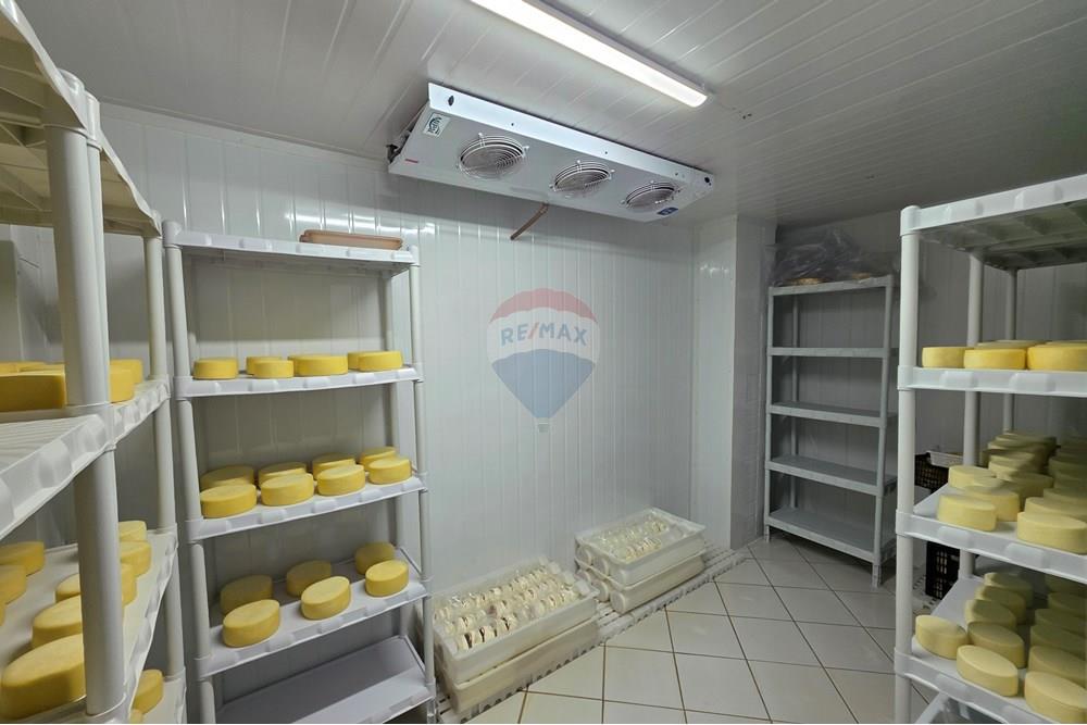 Chácara / Sítio / Fazenda - Venda - Itapira , São Paulo - 20250902_170636.jpg - 690521005-184