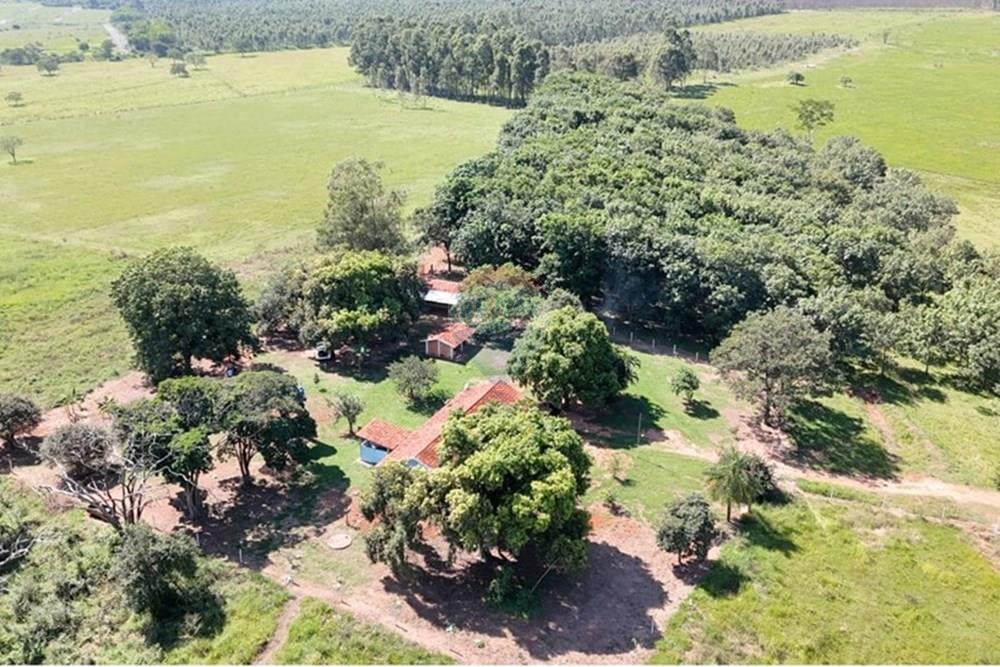 Industrial - Venda - Lins , São Paulo - WhatsApp Image 2025-05-02 at 16.51.39.jpeg - 690061038-1