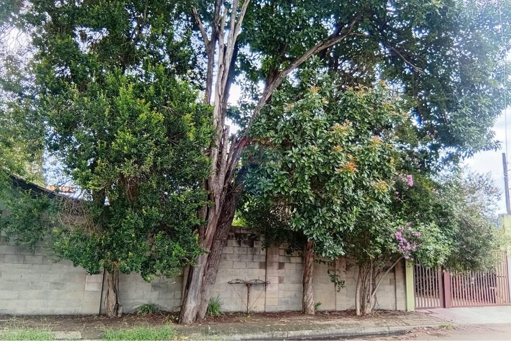 Chácara / Sítio / Fazenda - Venda - Campinas , São Paulo - 1 frente.jpeg - 690331038-16