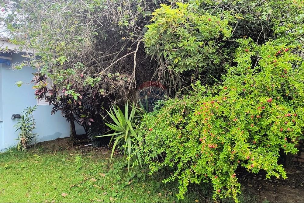 Casa - Alugar - Campinas , São Paulo - WhatsApp Image 2026-01-13 at 12.00.30.jpeg - 690681149-70