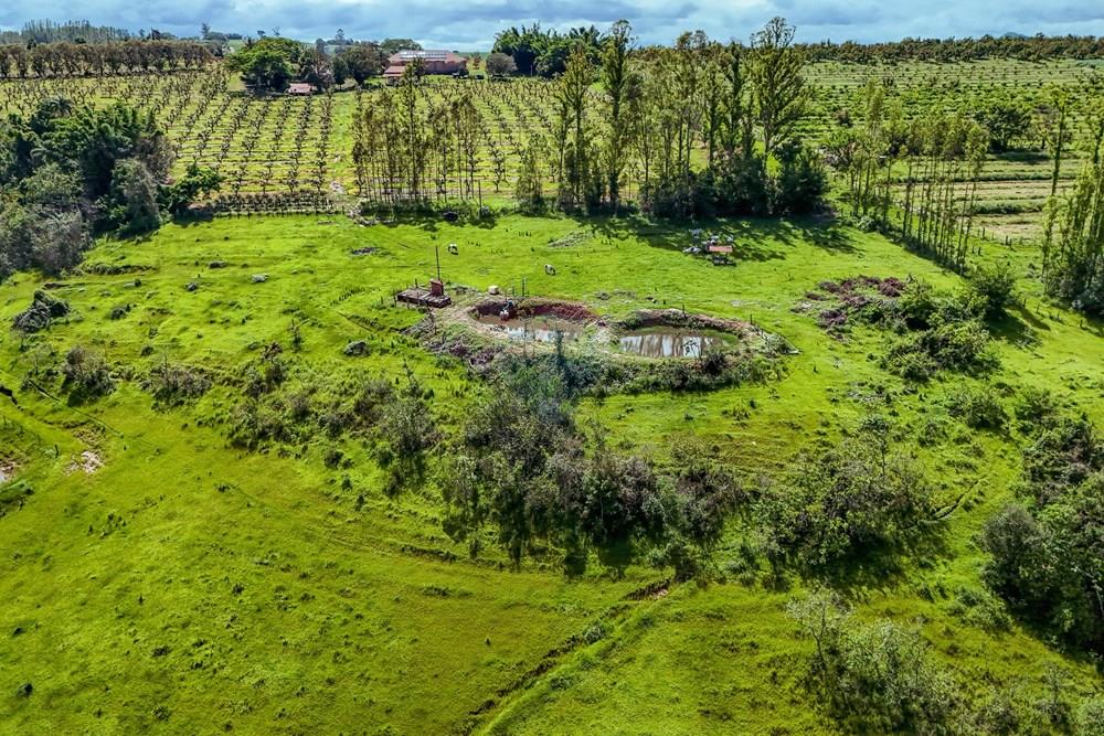 Fazenda - Venda - Analândia , São Paulo - Tratada - Drone-79.jpg - 690691016-305