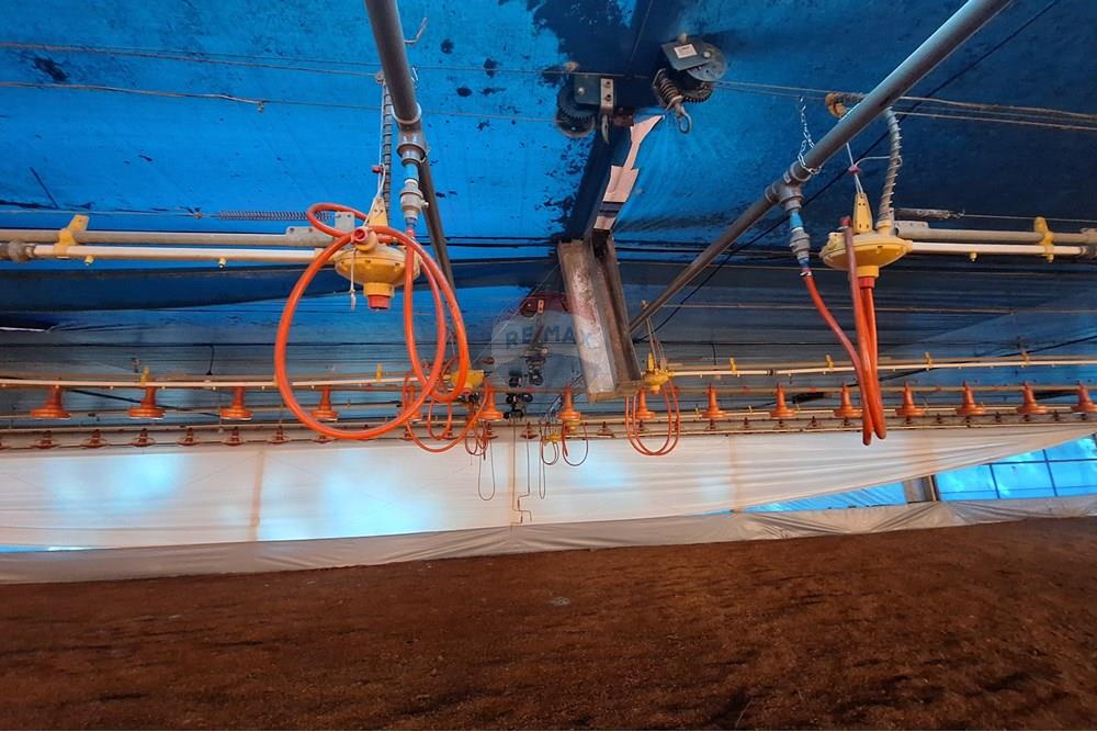 Chácara / Sítio / Fazenda - Venda - Itapira , São Paulo - 20250626_094137.jpg - 690751048-290