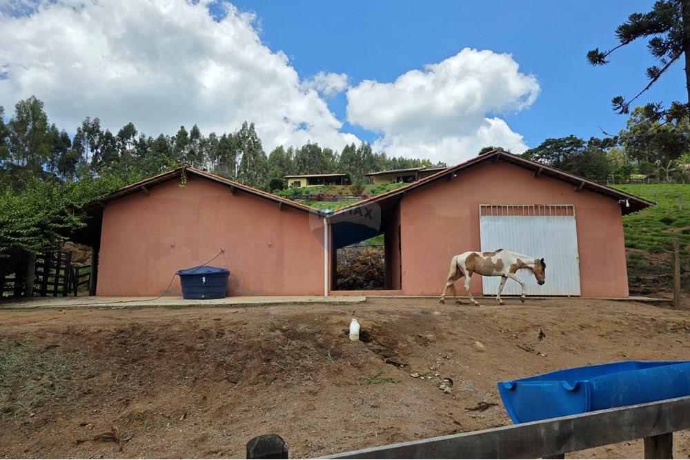 Chácara / Sítio / Fazenda - Venda - Pedra Bela , São Paulo - 20251111_120736.jpg - 690041041-48