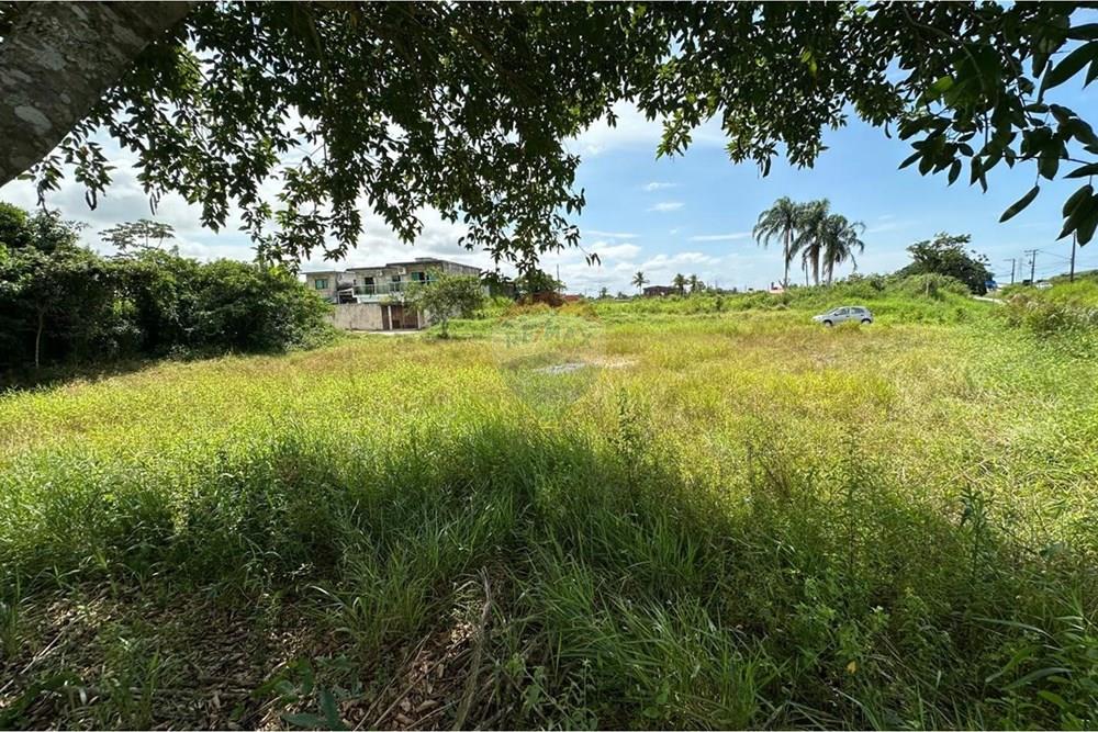 Terreno - Venda - Peruíbe , São Paulo - WhatsApp Image 2026-04-01 at 14.18.32 (5).jpeg - 691111041-6