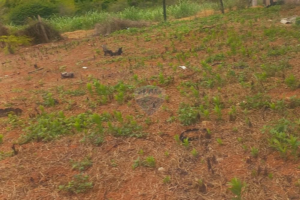 Terreno - Venda - Socorro , São Paulo - 20260116_123728(1).jpg - 690041151-29