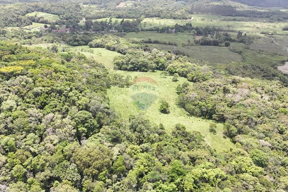 Fazenda - Venda - Pariquera-Açu , São Paulo - WhatsApp Image 2026-03-18 at 16.42.16 (1).jpeg - 690061038-24