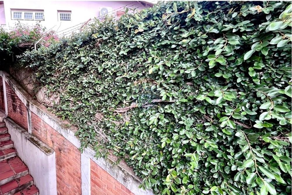 Casa - Alugar - Campinas , São Paulo - WhatsApp Image 2025-12-16 at 13.37.49 (2).jpeg - 690681050-225